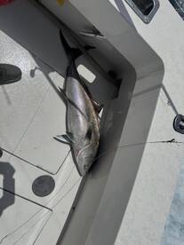 Treasure Coast Report Photo 1