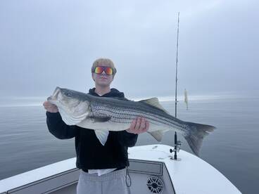 Dennis Report Photo 1