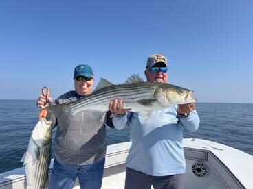 Dennis Report Photo 1