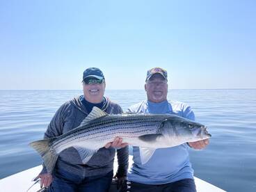 Dennis Report Photo 2