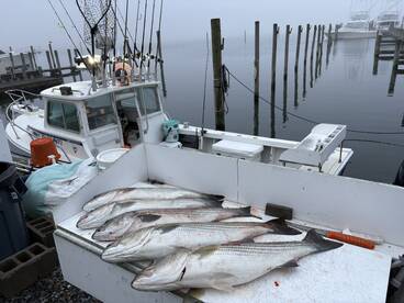 Montauk Report Photo 1