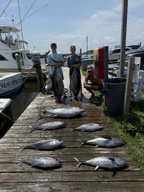 Great Tuna Action