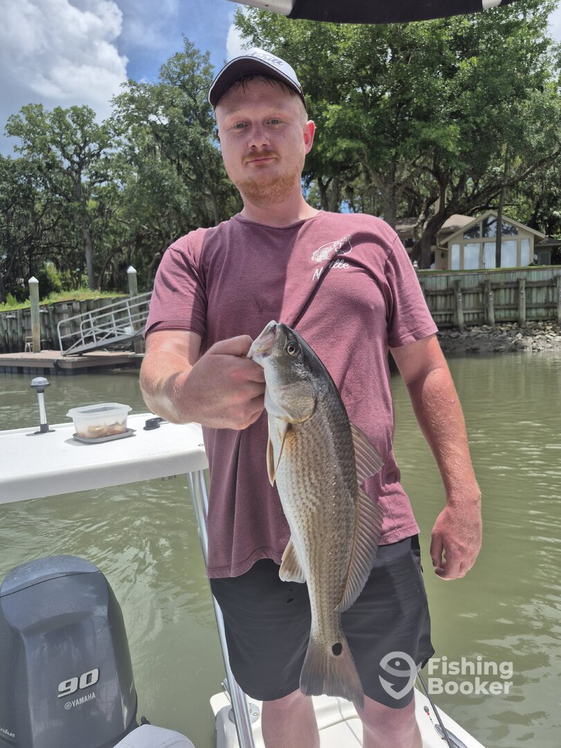 Hilton Head Island Report Photo 0