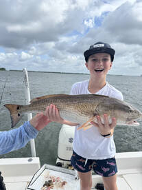 Bull redfish