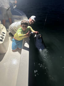 Evening tarpon bite is heating up