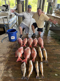 Snapper and Redfish