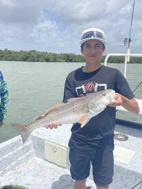 Trout are on Fire