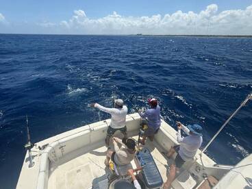 Puerto Aventuras Report Photo 2