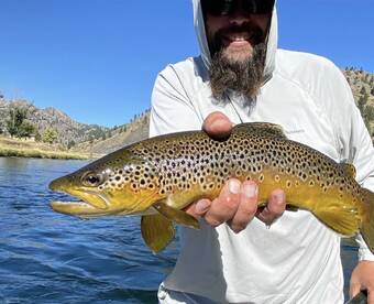 madison river fishing report - Hunt nation