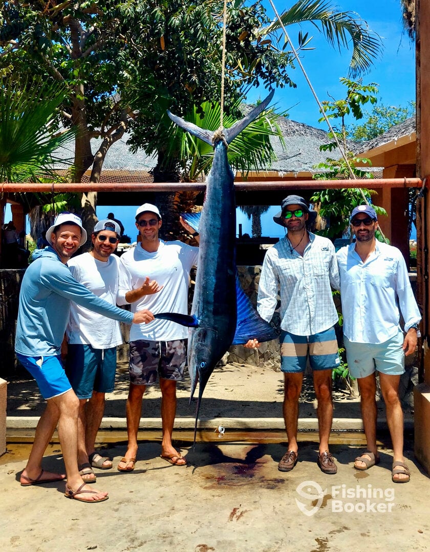 San Jose del Cabo Report Photo 0