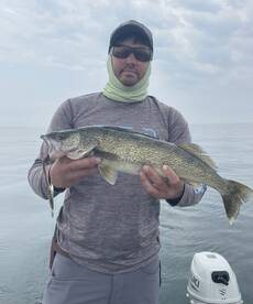 Typical walleye out of Buffalo Ny.