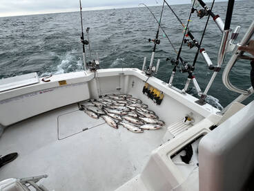Kenosha Report Photo 1