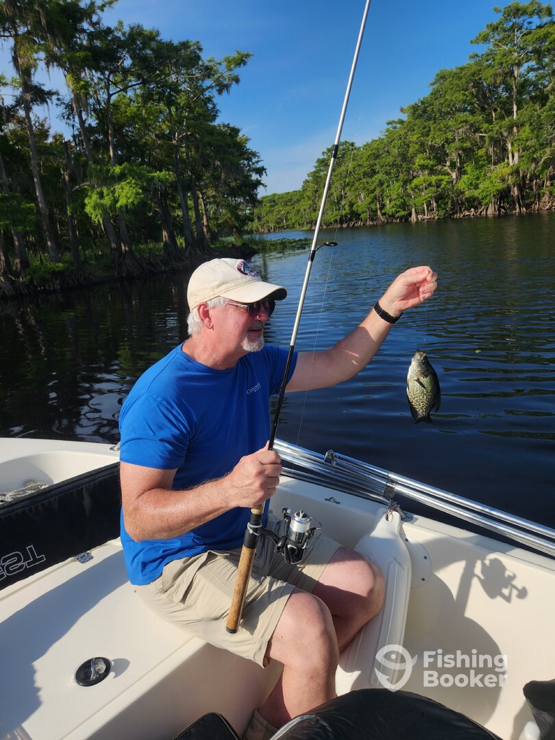 DeBary Report Photo 0