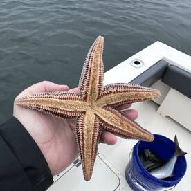 Rainy day very fishy