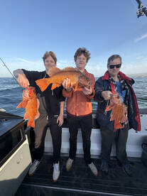 Nearshore trifecta