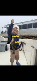 Catalina Island Report Photo 2