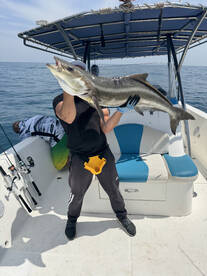 Abu Dhabi Report Photo 2