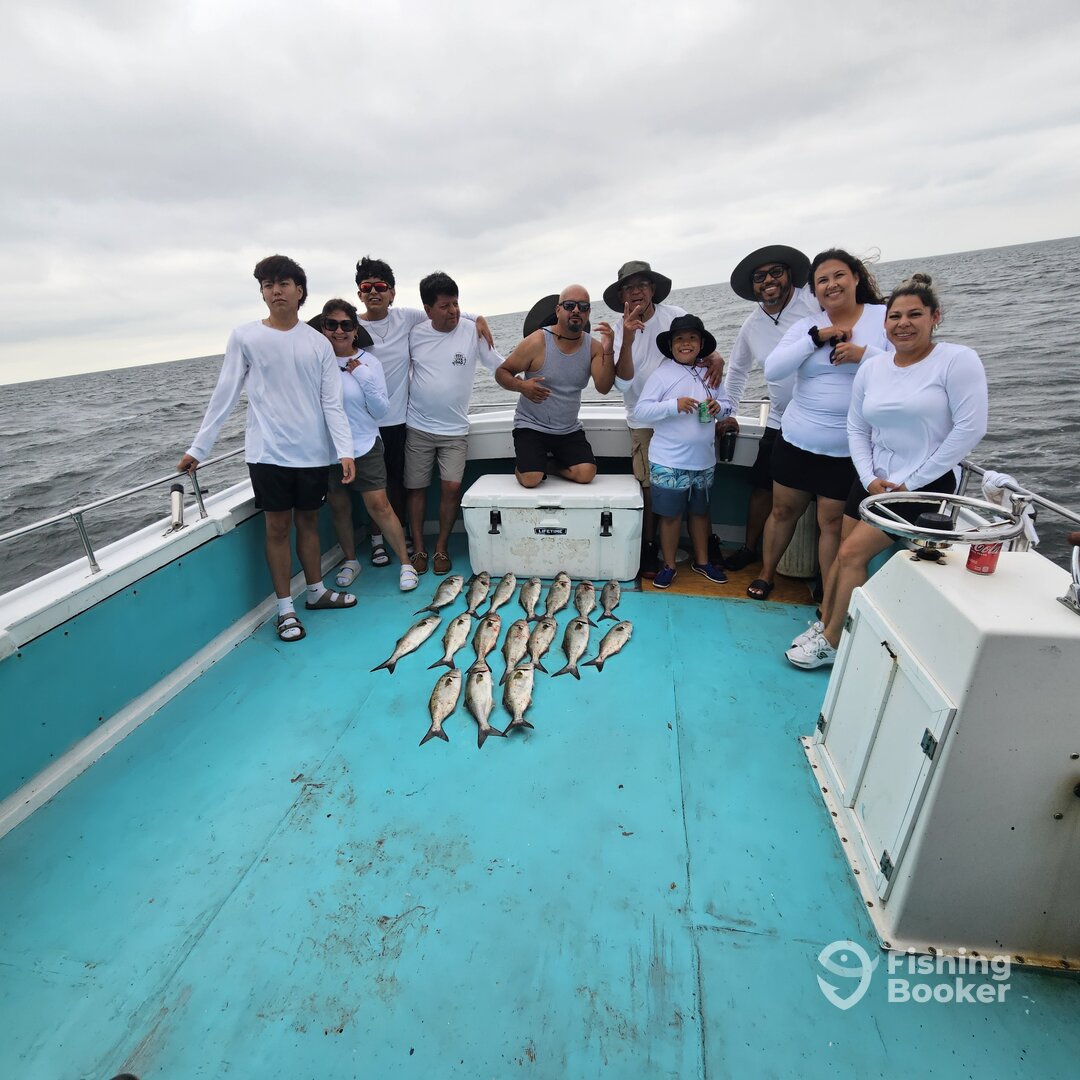 Solomons Report Photo 0