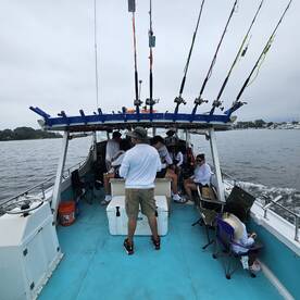 Solomons Report Photo 2