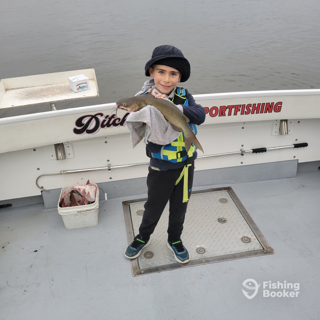 Chesapeake Bay Report Photo 0