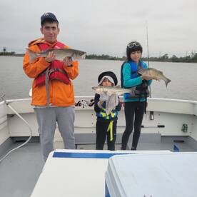 All about the kiddos