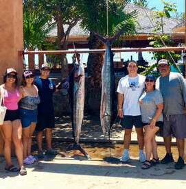 Marlin fishing - Daliken Charters