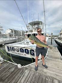 Virginia Beach Report Photo 2