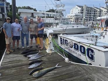 Virginia Beach Report Photo 1
