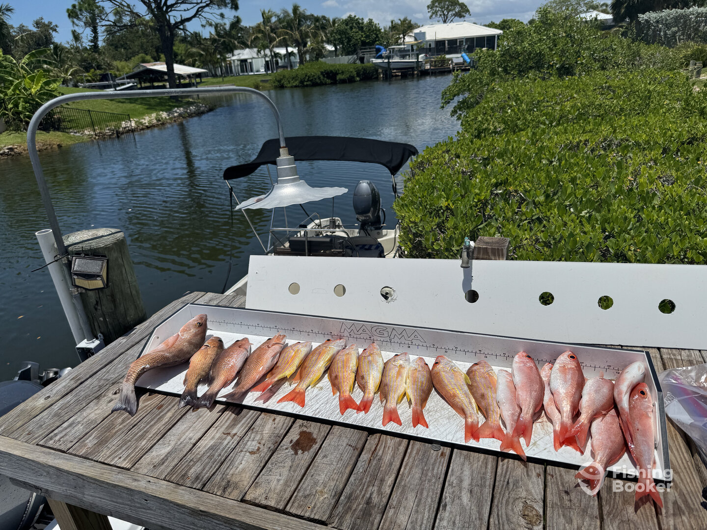 Nokomis Report Photo 0