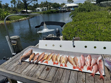 Not a badfish in the house 