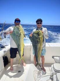 5 Mahi Mahis- Full Day Offshore Charter