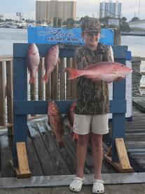 Panama City Beach Report Photo 2