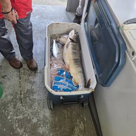 Saturday morning trip 