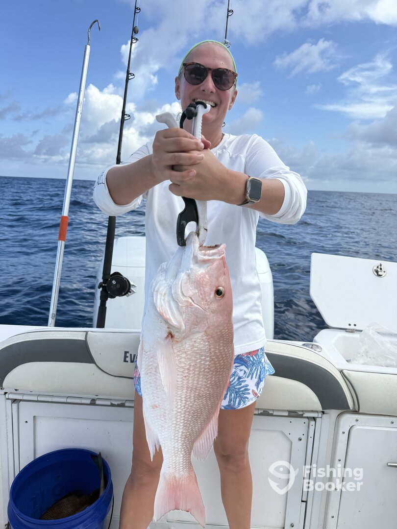 Belleair Bluffs Report Photo 0