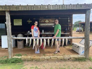 Platter Report Photo 1