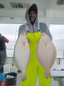 Daily Fluke Fishing