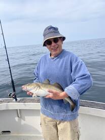 Killer  ground  fish and stripers !!!!  