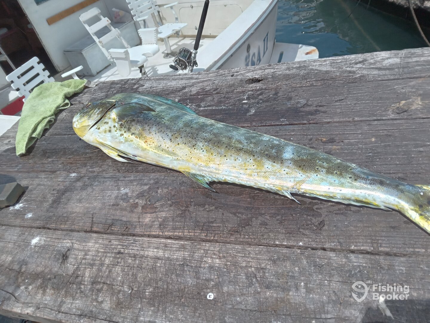 Aruba Report Photo 0