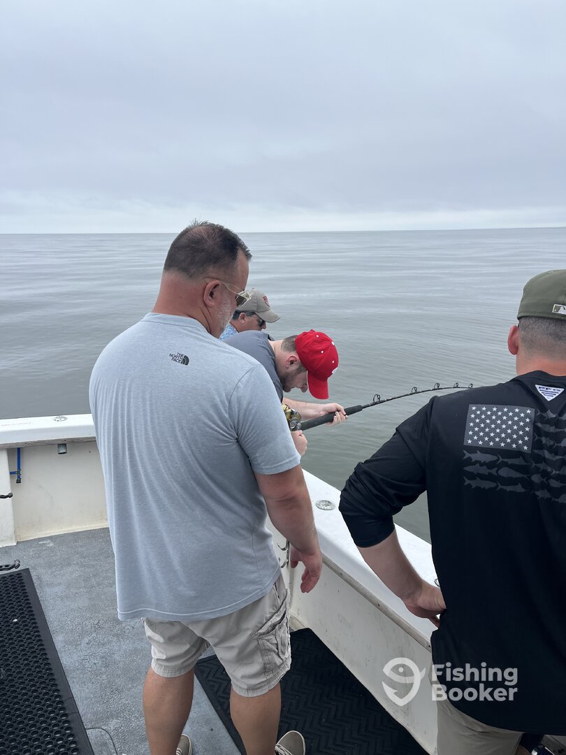 Wildwood Crest Report Photo 0