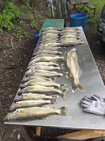 Great day on the lake 