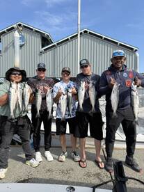 Coho Chaos! Limits All Around!