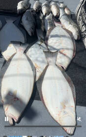 Richmond Report Photo 1