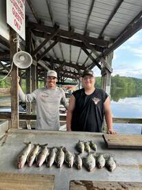 The Walleye are starting to bite!
