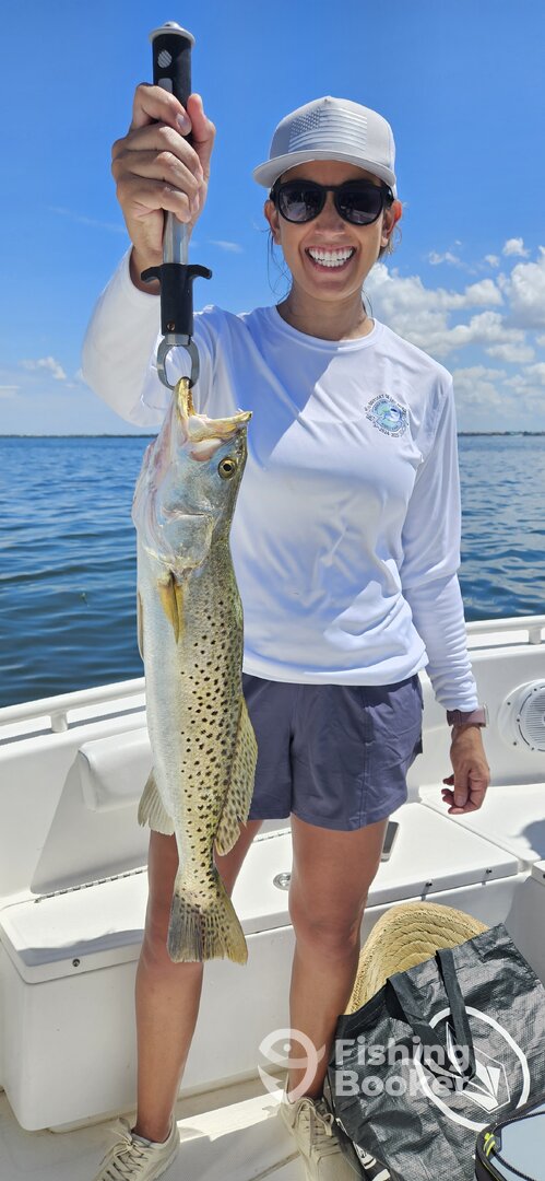 Sarasota Report Photo 0