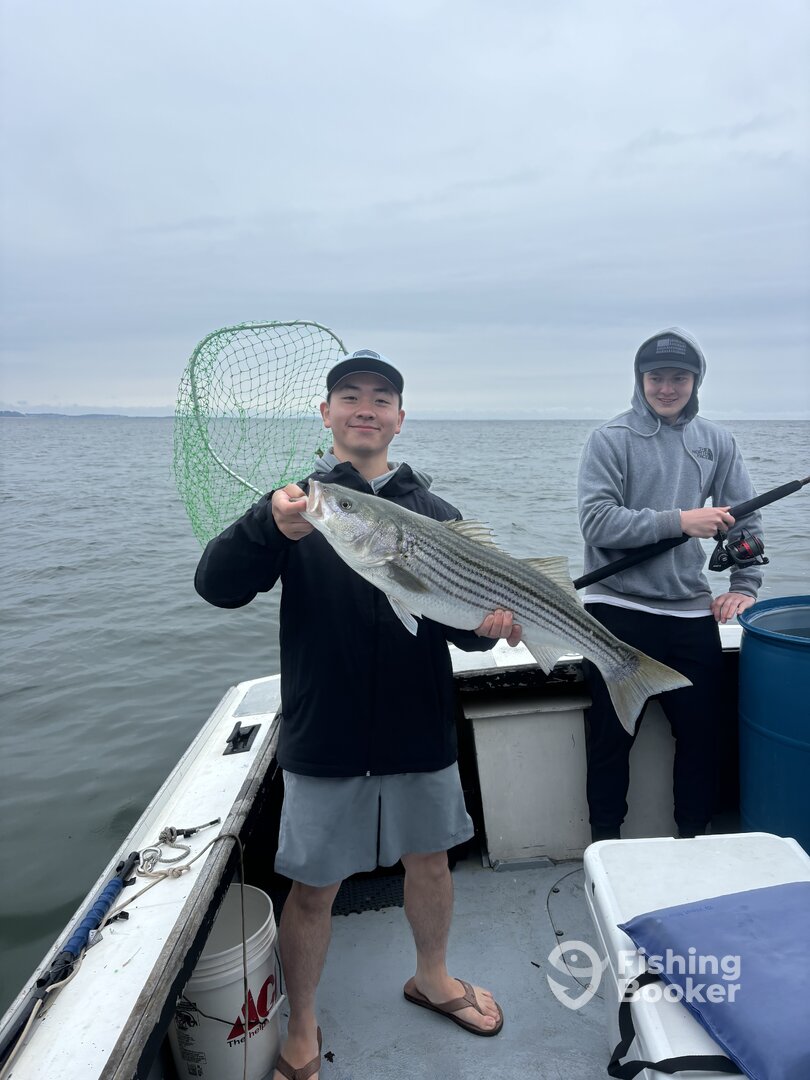 Rockport Report Photo 0