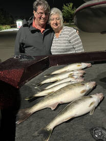 Buffalo Report Photo 1