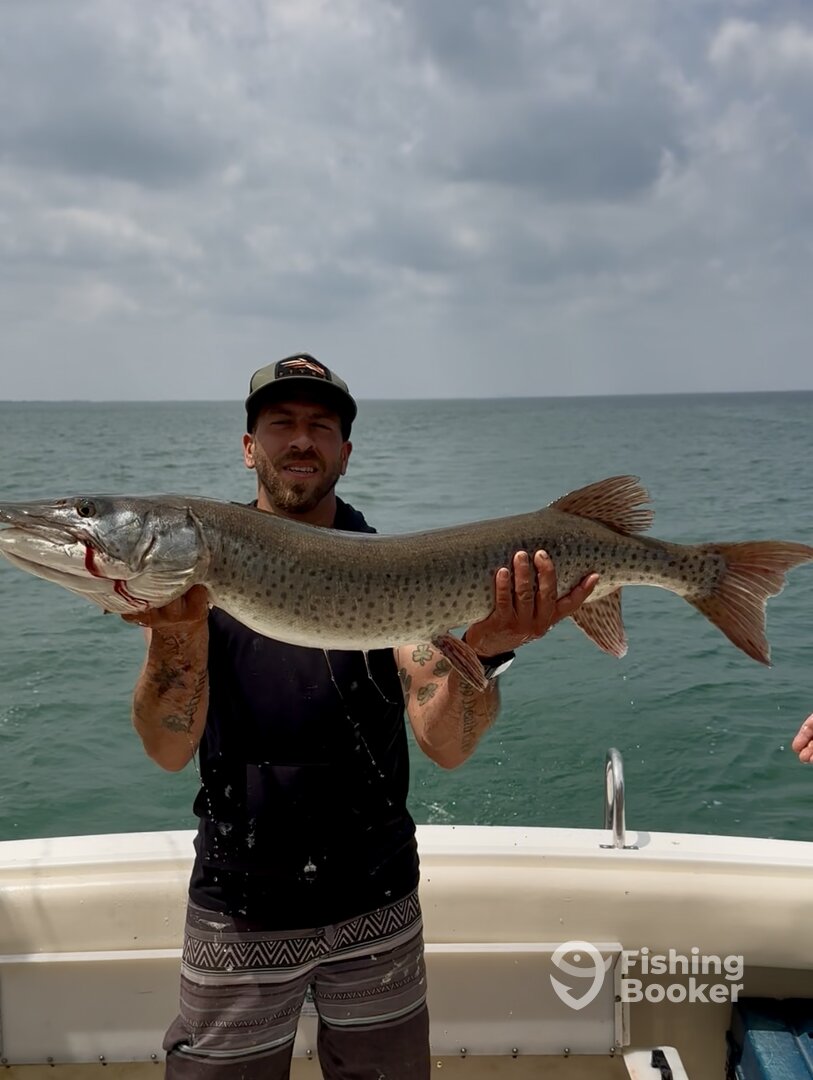 St. Clair Shores Report Photo 0
