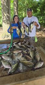 Quitman Report Photo 1