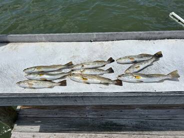 Fort Myers Report Photo 1
