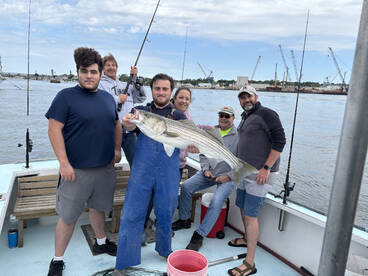 Huge stripers